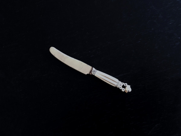 KÖNIG / ACORN (Georg Jensen): Obst-Reisemesser